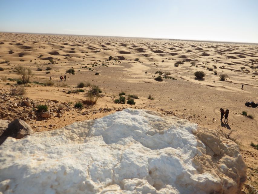 From Djerba: Full-Day Ksar Ghilane Sahara and Oasis Tour - Key Points