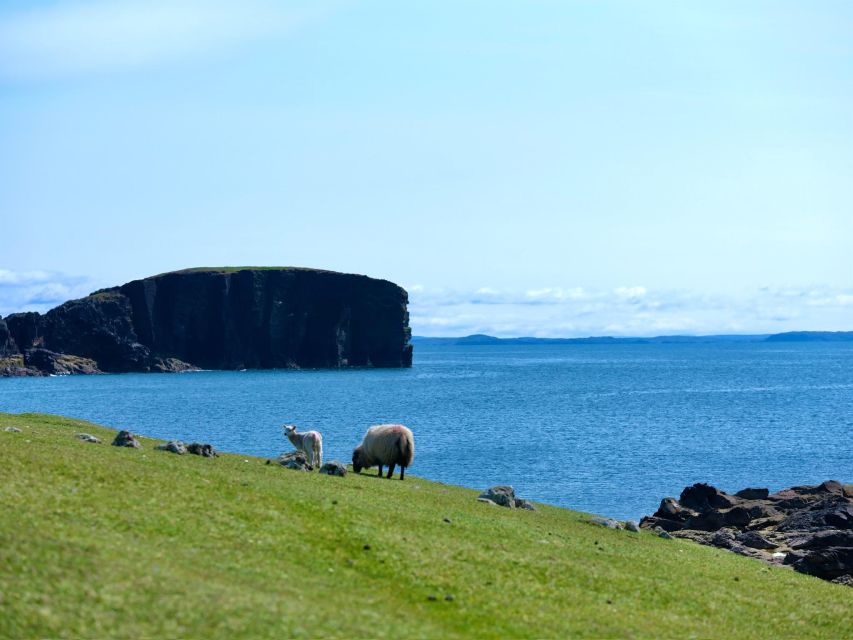 From Edinburgh: 6-Day Shetland & Nothernmost Explorer - Just The Basics