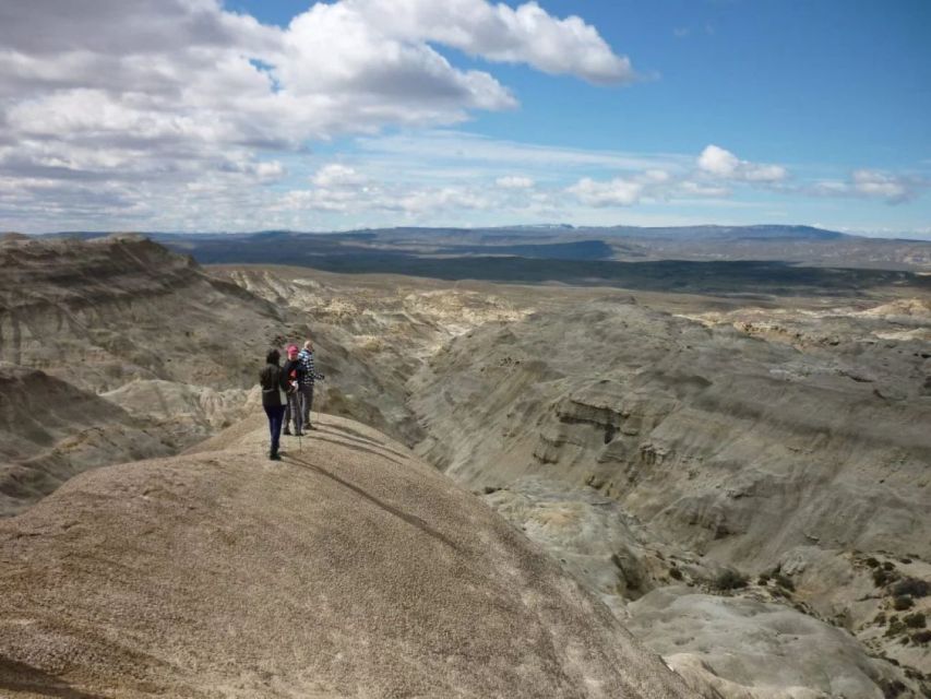 From El Calafate: La Leona Petrified Forest Day Trip - Key Points