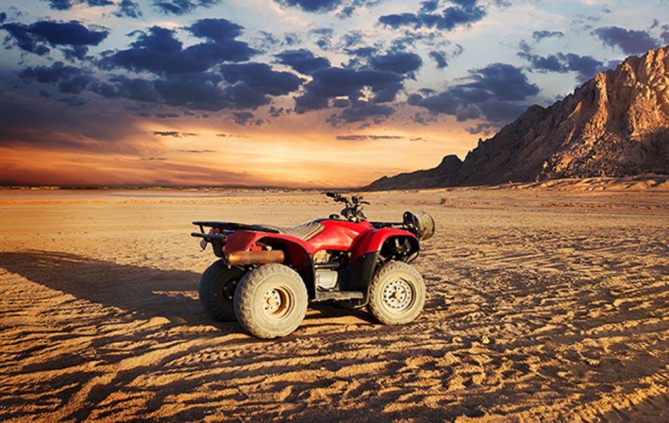 From EL Gouna: ATV Quad Safari, Bedouin Village & Camel Ride - Key Points