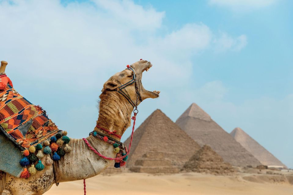 From El Sokhna Port: Tour to Pyramids, Citadel & Bazaar - Key Points