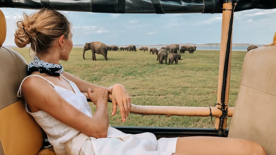 From Ella: Udawalawe Safari With Elephant Transit Home Visit - Key Points