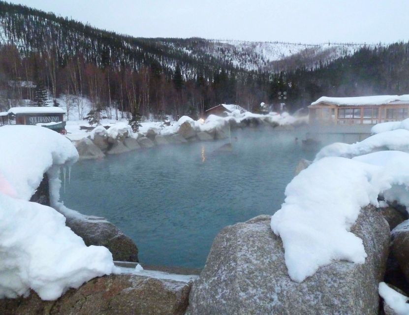 From Fairbanks: Chena Hot Springs Northern Lights Tour - Key Points