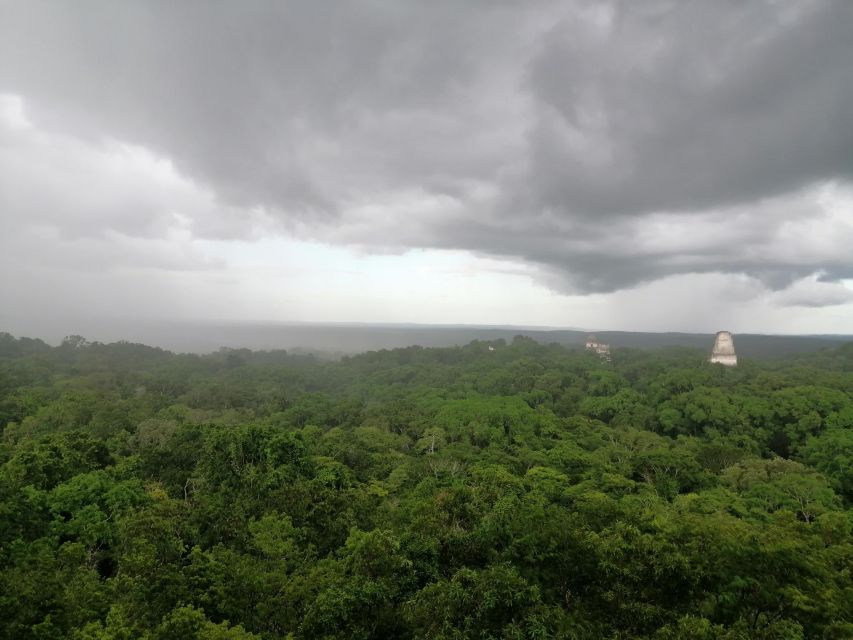 From Flores: Exclusive Tikal Group Tour - Key Points