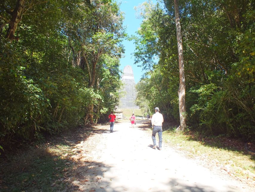 From Flores: Tikal Ruins Guided Day Trip - Key Points