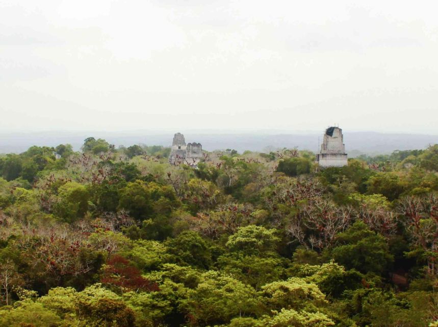 From Flores: Tikal Sunset Tour - Key Points