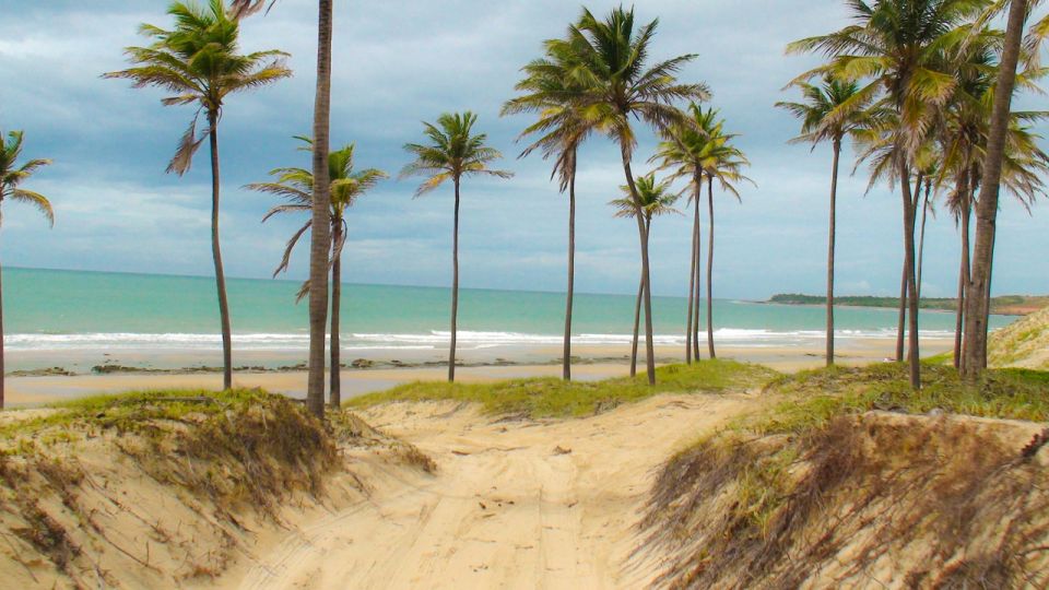 From Fortaleza: Lagoinha Beach Day Trip - Key Points
