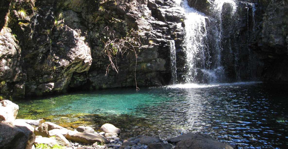 From Funchal: Madeira Lakes Levada Guided Hike - Key Points