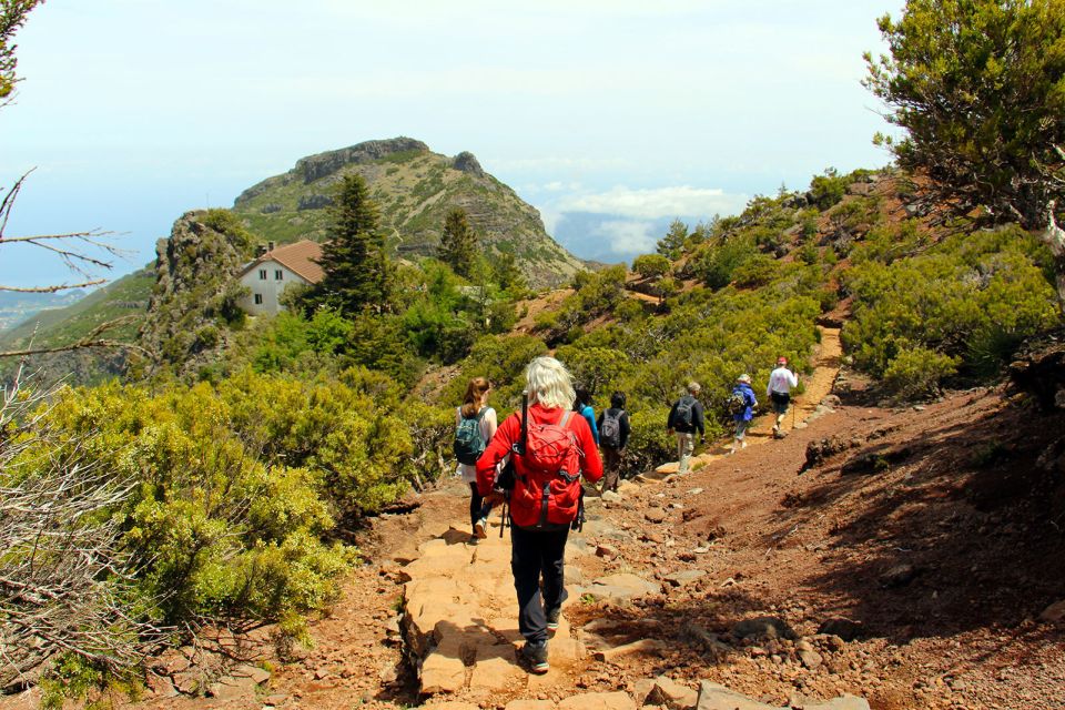 From Funchal: Madeira Peaks Mountain Walk - Key Points