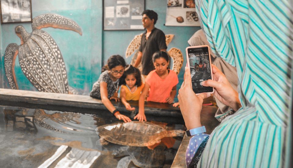 From Galle: Private Day Trip to Turtle Hatchery & Madu Ganga - Key Points