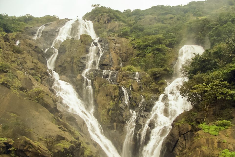 From Goa: Dudhsagar Waterfalls & Plantation Tour - Key Points