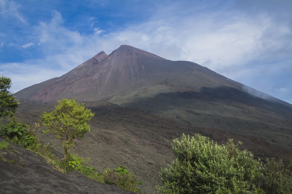 From Guatemala City or Antigua: Pacaya Volcano Day Tour - Key Points