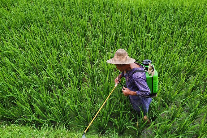 From Guilin/Yangshuo: Longji Rice Terraces and Ethnic Minority Village Day Tour - Tour Pricing Details