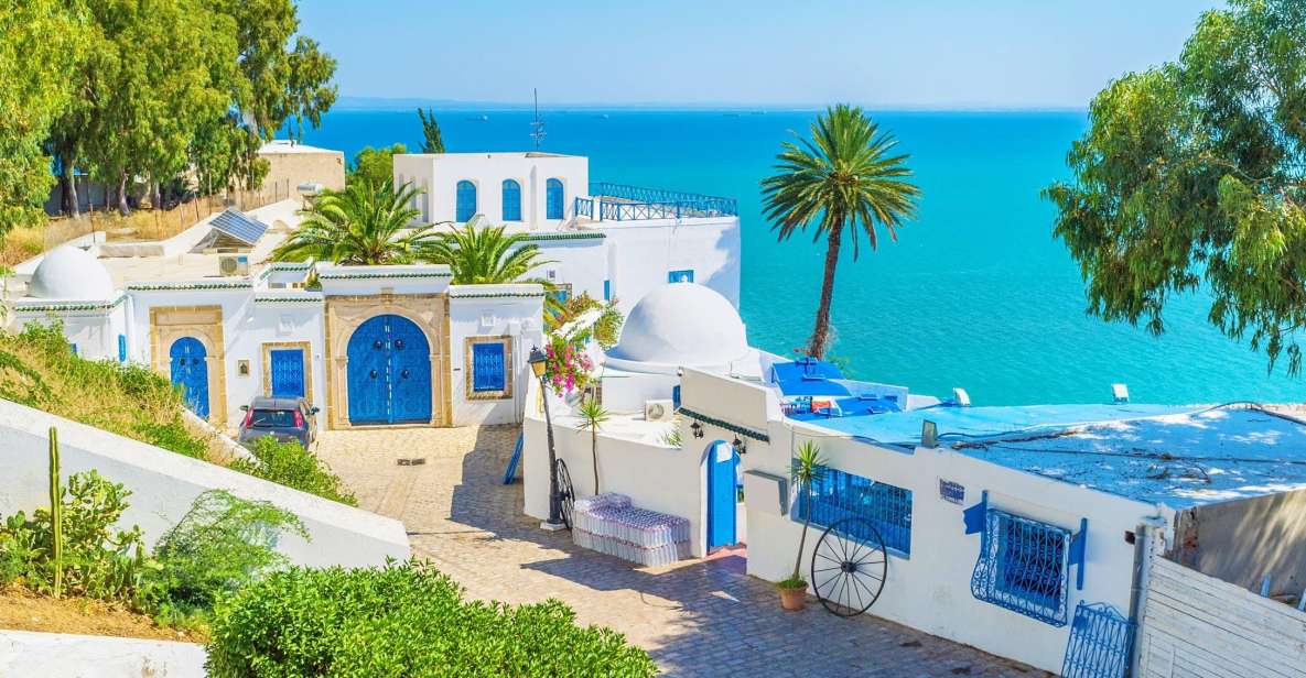 From Hammamet: Day Trip to Sidi Bou Saïd and Carthage - Key Points