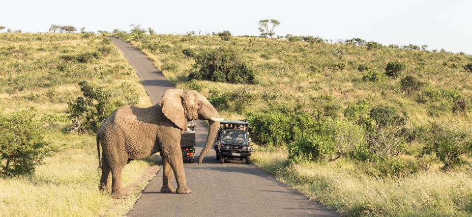 From Hazyview: Full Day Kruger Park Wildlife Safari - Just The Basics