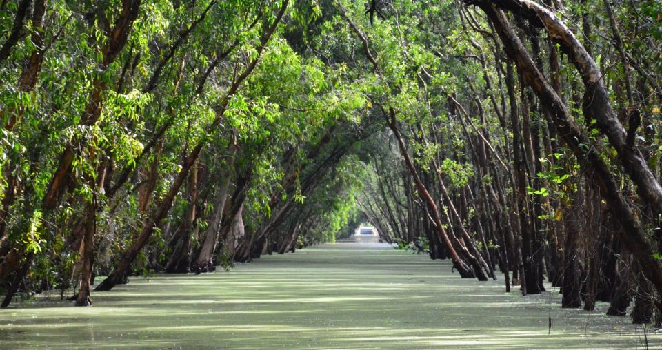 From Ho Chi Minh: Three-Day Mekong Delta Tour - Key Points