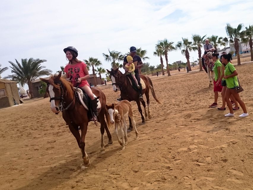 From Hurghada: Makadi Bay Horse Riding Tour - Key Points