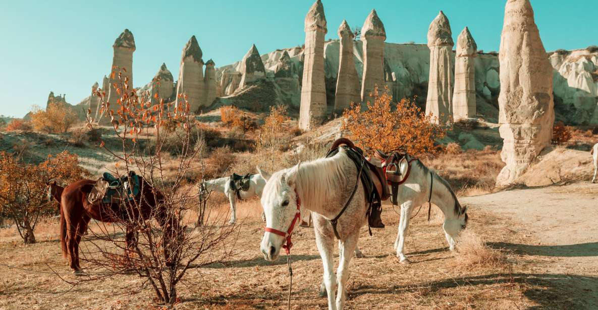 From Istanbul: All Inclusive Private Day Trip to Cappadocia - Key Points