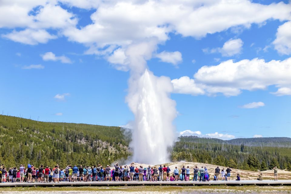 From Jackson: Yellowstone Day Tour Including Entrance Fee - Key Points