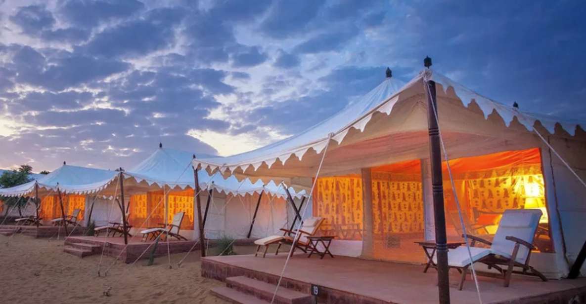 From Jaisalmer : Overnight Camping With Camel Safari - Key Points