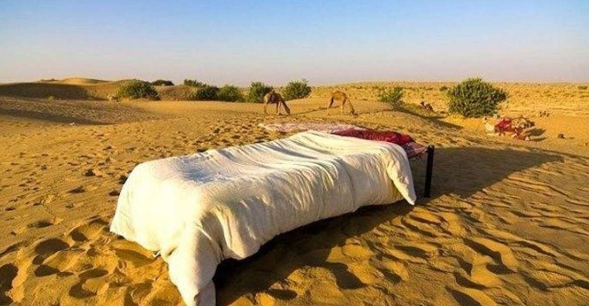 From Jaisalmer : Overnight Stay Under Stars WithCamel Safari - Key Points