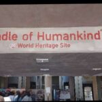from johannesburg cradle of humankind half day tour From Johannesburg: Cradle of Humankind Half-Day Tour
