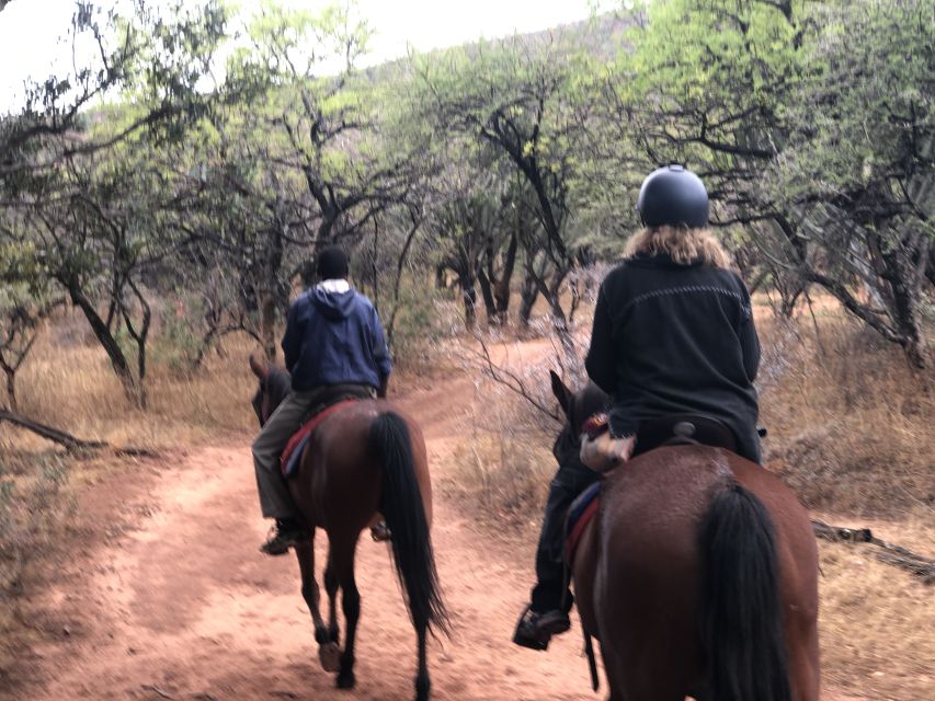 From Johannesburg: Horse-Riding Safari and Cable Car Tour - Just The Basics