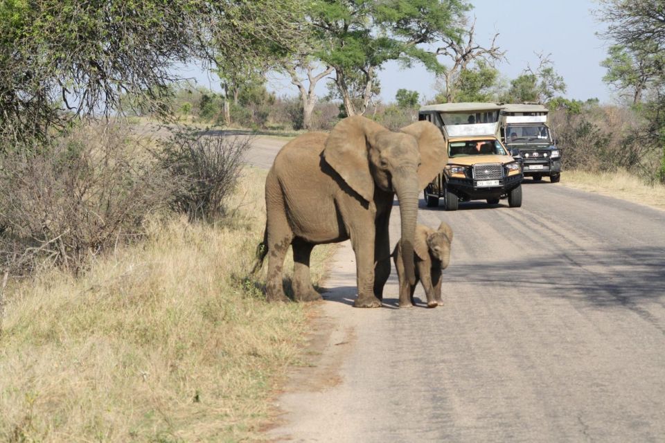 From Johannesburg: Kruger 4 Days Safari - Just The Basics