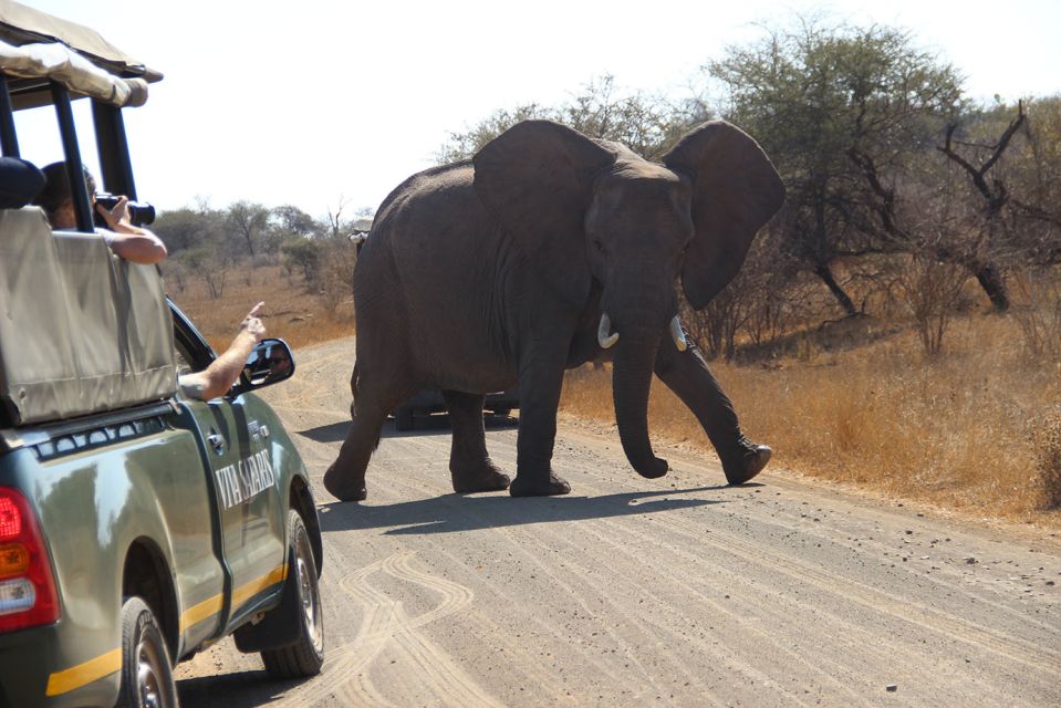 from johannesburg kruger national park 5 day luxury safari From Johannesburg: Kruger National Park 5-Day Luxury Safari