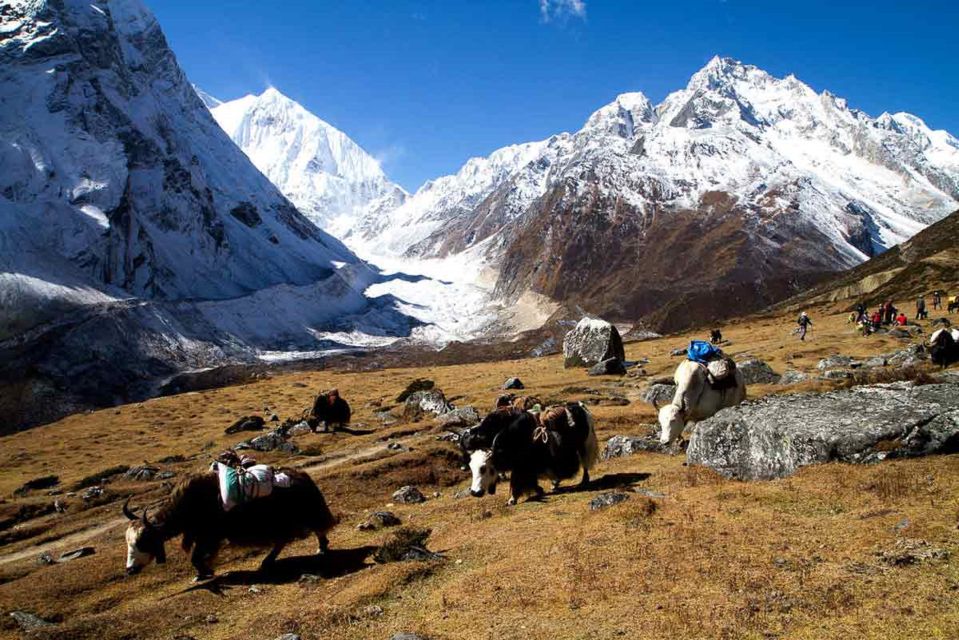 From Kathmandu :11-Day Guided Manasalu Circuit Trek - Key Points