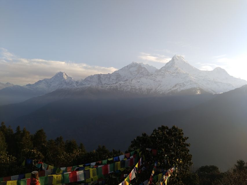 From Kathmandu: 7 Nights 8 Days Poon Hill Trek - Key Points
