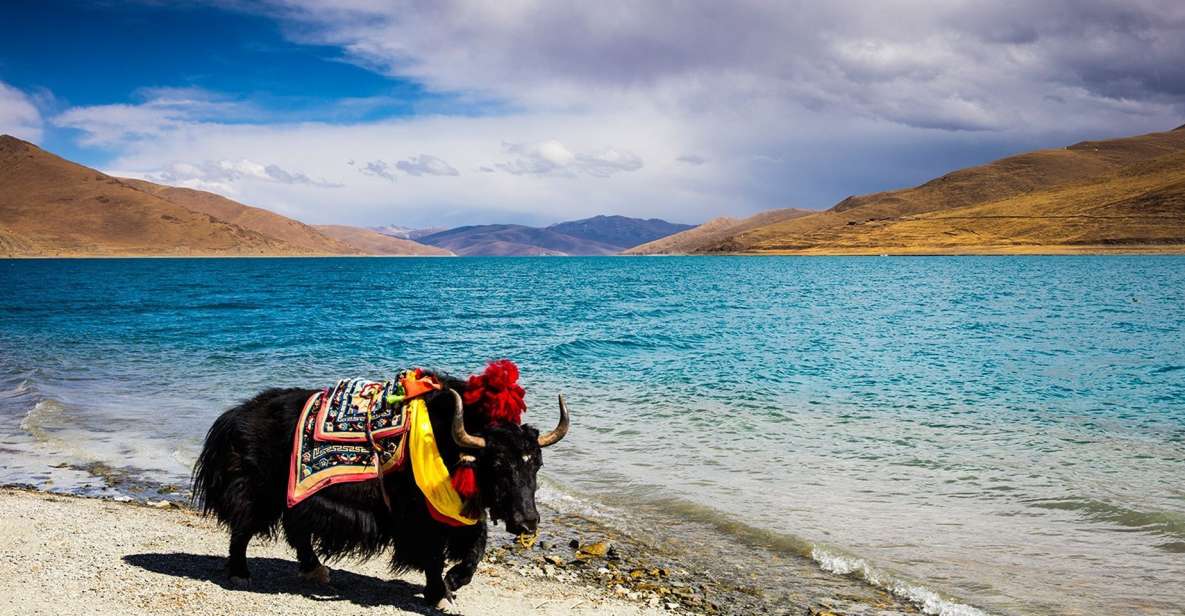 From Kathmandu: Multi-Day Tibet Highlights Trip - Just The Basics