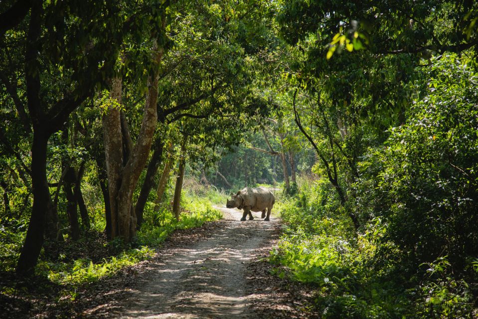 From Kathmandu/Pokhara: Private 3-Day Chitwan Safari Tour - Key Points