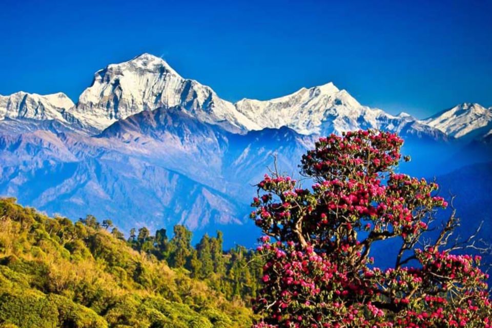 From Katmandu: 15-Day Gokyo Valley Trek With Porter - Key Points