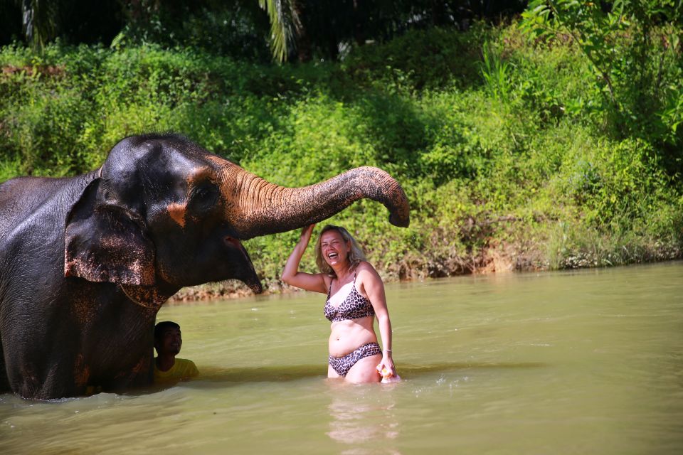 From Khao Lak: Day Trip to Khao Sok With Elephant Camp Visit - Key Points