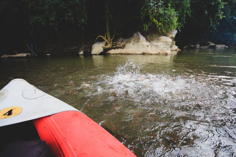 From Khao Lak: Khao Sok Jungle Hike & River Tour - Key Points