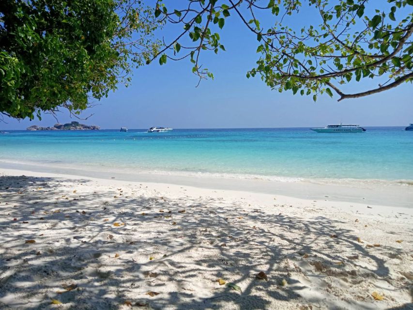 From Khao Lak: Similan VIP Speedboat Day Trip - Key Points