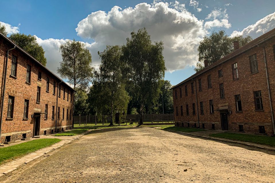 From Krakow: Auschwitz-Birkenau Memorial and Museum Tour - Key Points