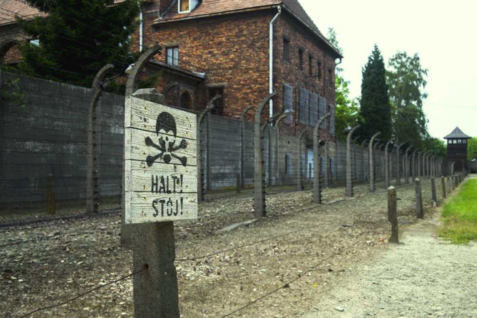 From Krakow: Guided Auschwitz-Birkenau Group Tour by Minivan - Key Points