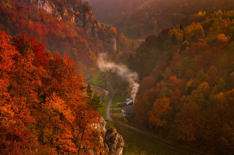 From Kraków: Ojców National Park and Pieskowa Skała Castle - Key Points