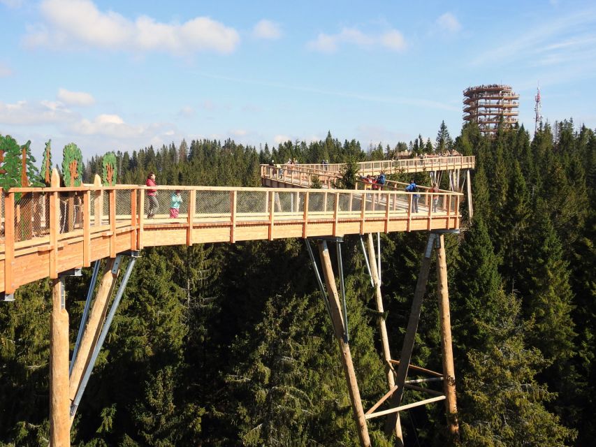 From Kraków: Slovakia Treetop Walk and Dunajec Rafting Tour - Key Points