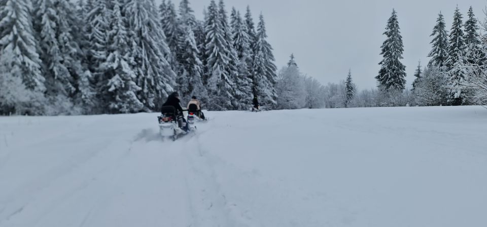 From Krakow: Snowmobile & Thermal Baths Zakopane Tour - Key Points