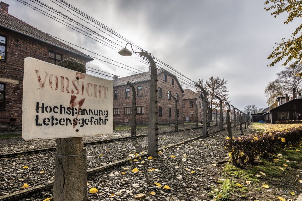 From Krakow: Transport & Self-Tour of the Auschwitz-Birkenau - Key Points
