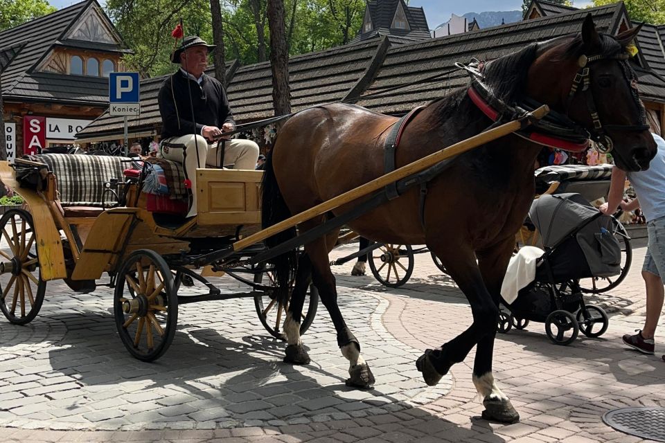 From Krakow: Zakopane Tour With Thermal Baths Entrance - Key Points