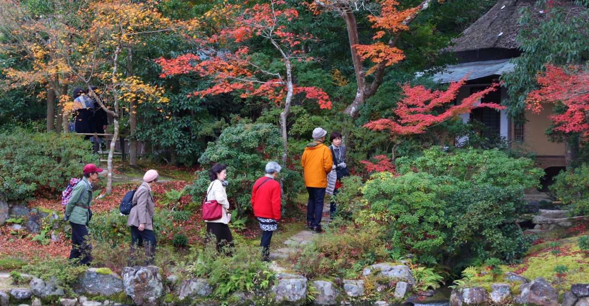 From Kyoto or Osaka: Private Walking Tour Through Nara - Just The Basics