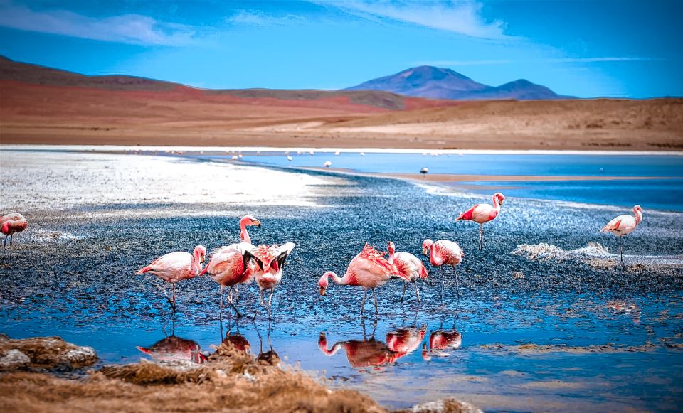 From La Paz: 4-Day Trip to San Pedro De Atacama W/Salt Flats - Key Points
