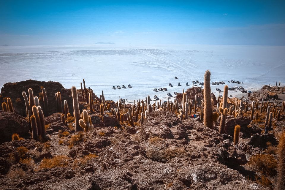 From La Paz: Uyuni and Andean Lagoons 5-Day Guided Trip - Key Points