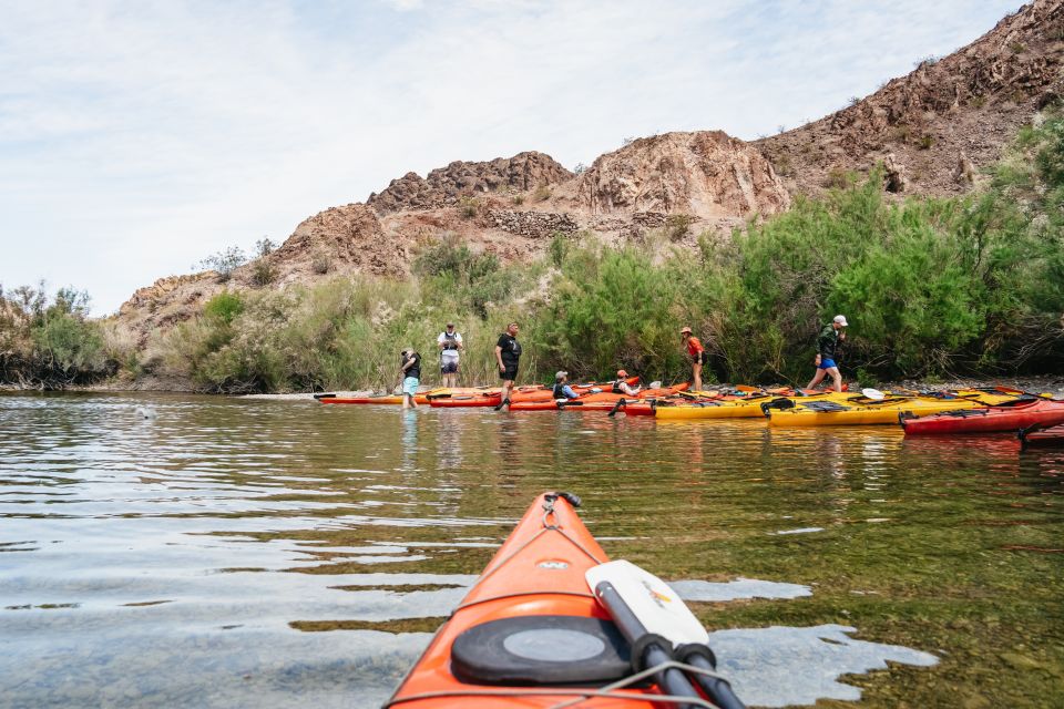 From Las Vegas: Black Canyon Half-Day Kayak Tour - Key Points