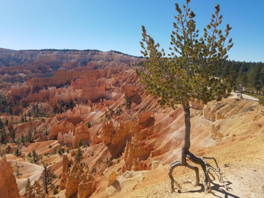 From Las Vegas: Zion and Bryce Canyon Guided Day Tour - Key Points