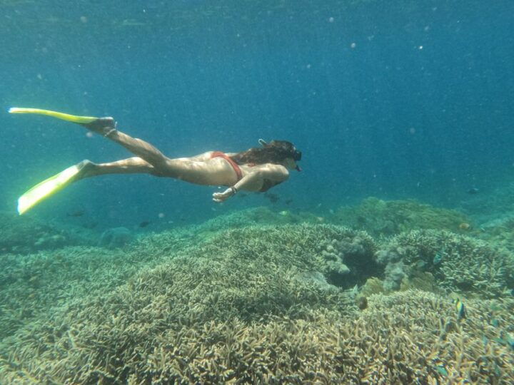 From Lembongan: Nusa Penida Snorkeling Day Trip - Key Points